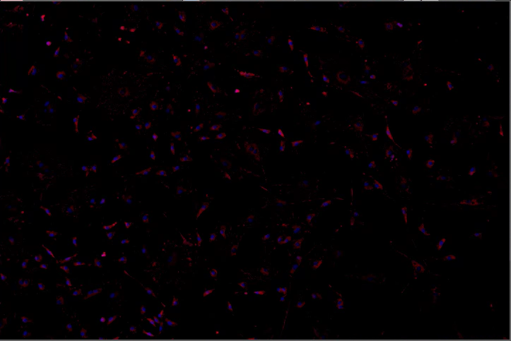 A black background with purple and blue spots Description automatically generated