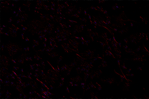 A black background with red and blue spots Description automatically generated
