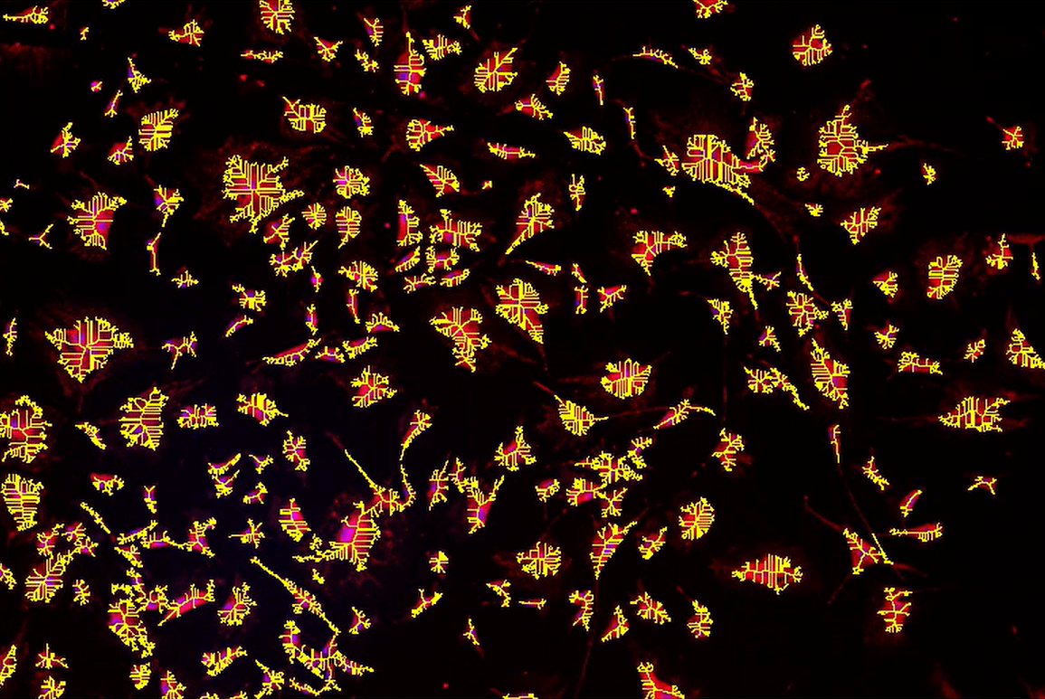 A black background with yellow and red spots Description automatically generated