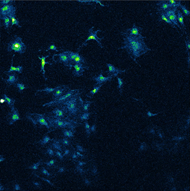 A blue and green lightDescription automatically generated