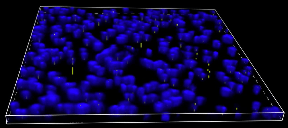 A blue and yellow dots Description automatically generated with medium confidence