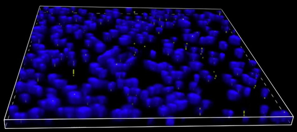 A blue and yellow lights Description automatically generated with medium confidence