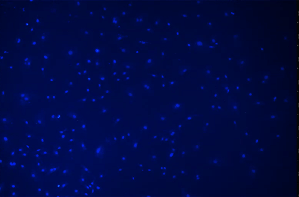 A blue background with small dotsDescription automatically generated with medium confidence