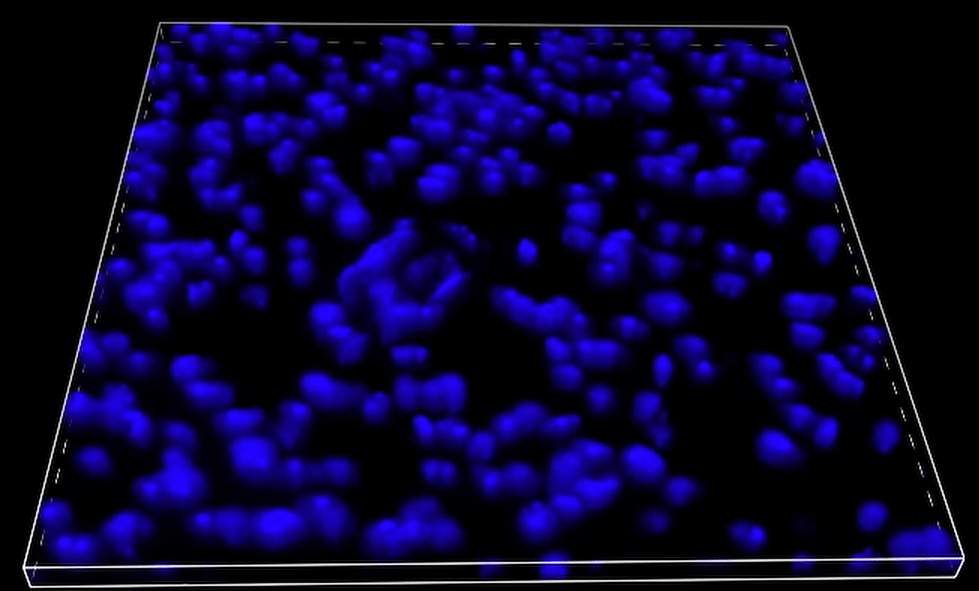 A blue dots on a black background Description automatically generated