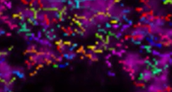 A blurry image of colorful lights Description automatically generated