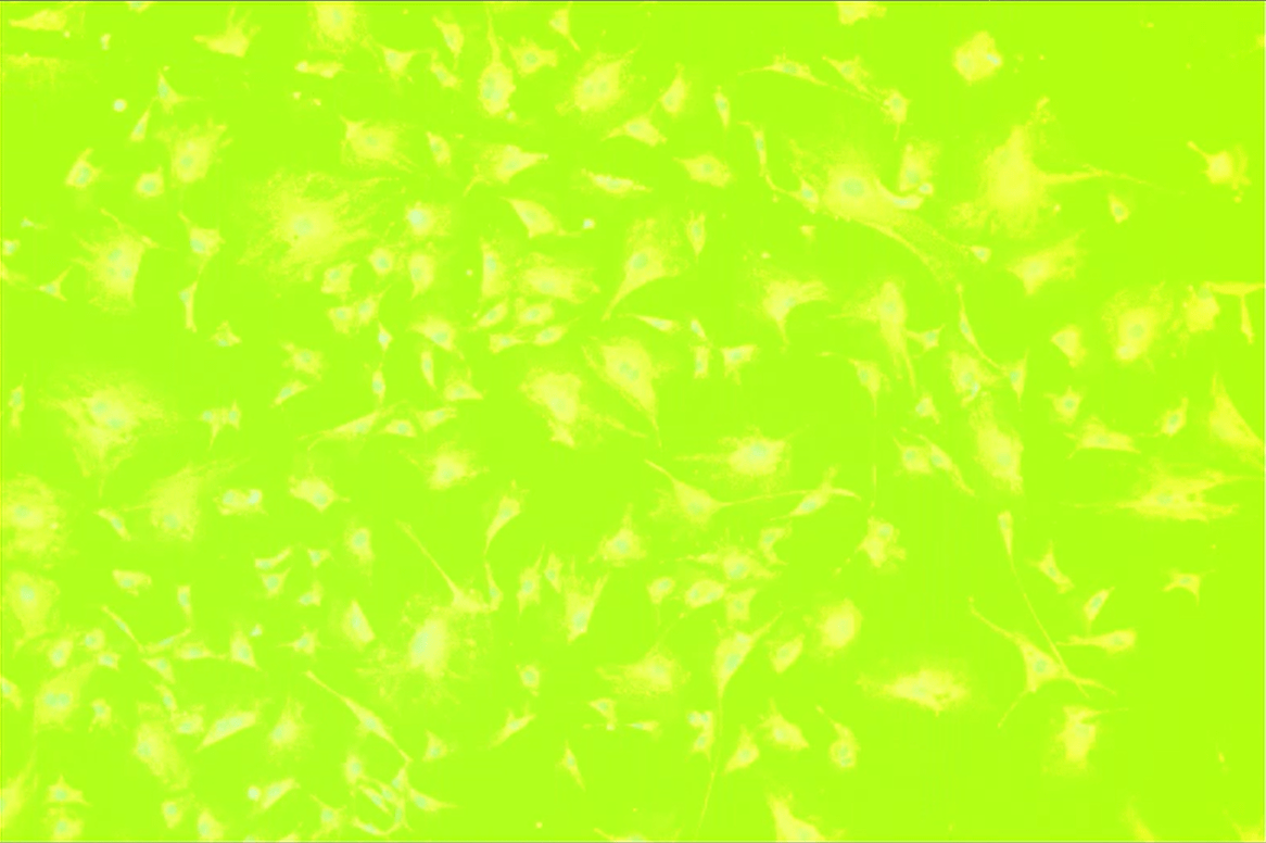 A bright green background with white dotsDescription automatically generated