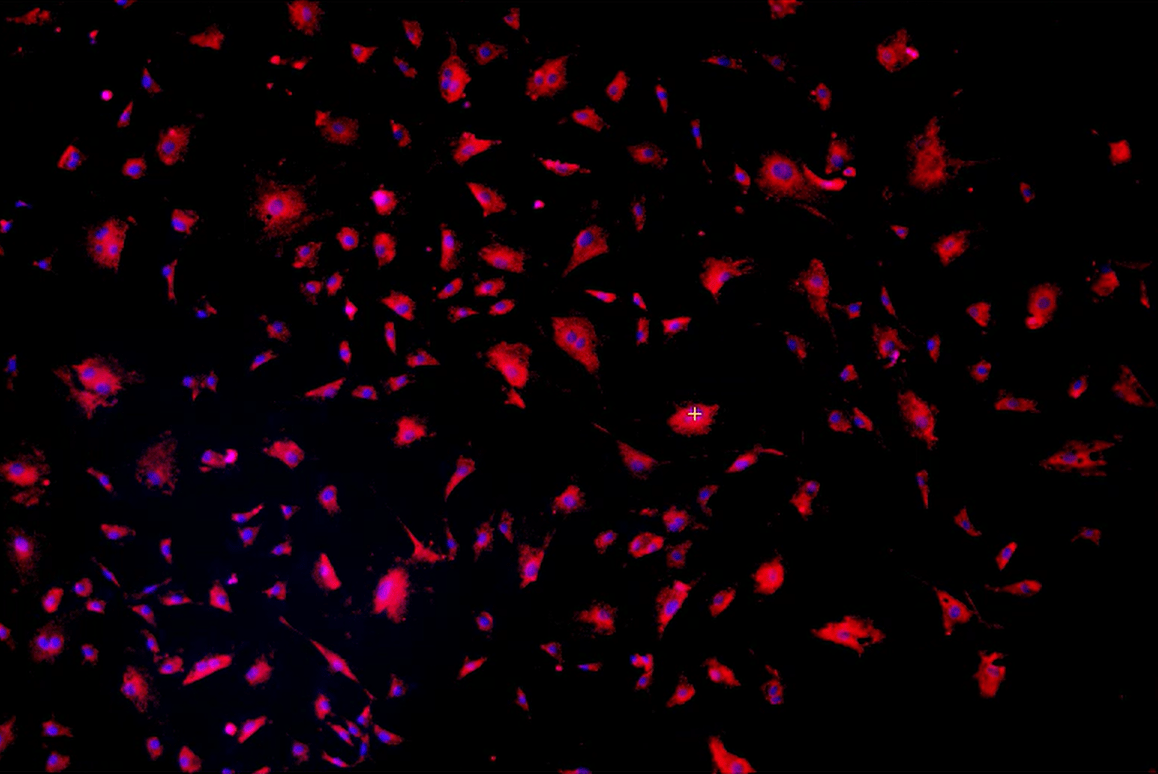 A close up of a black backgroundDescription automatically generated