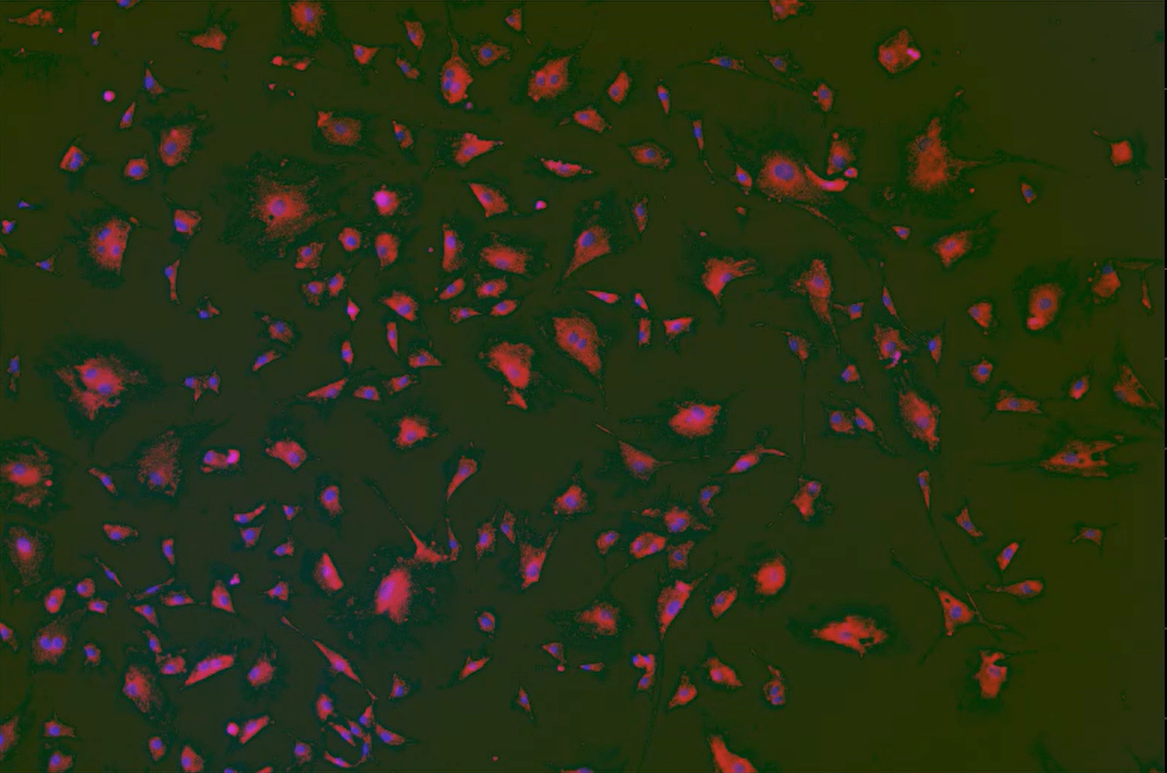 A close up of a colorful patternDescription automatically generated with medium confidence