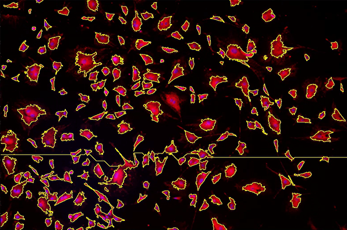 A close up of a colorful pattern Description automatically generated with medium confidence