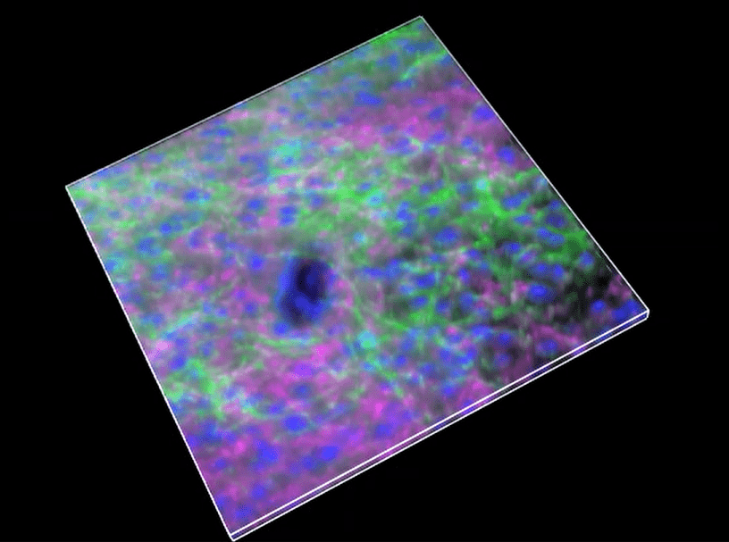 A close-up of a colorful surface Description automatically generated