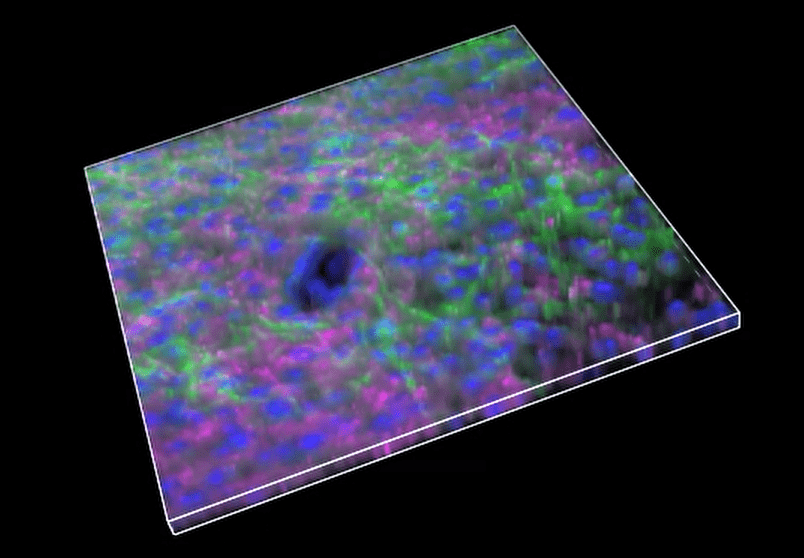 A close-up of a colorful surface Description automatically generated