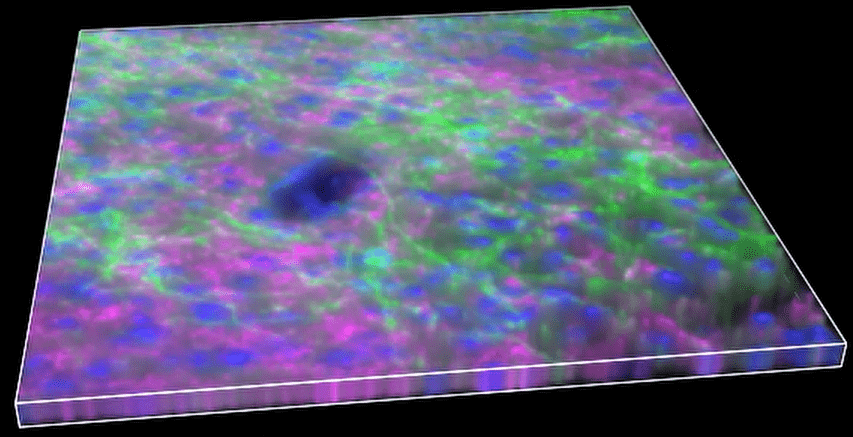 A close-up of a colorful surface Description automatically generated