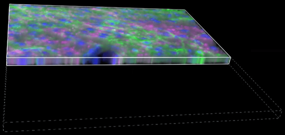 A close-up of a colorful surface Description automatically generated