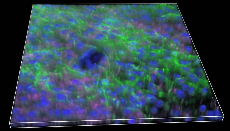 A close-up of a colorful surface Description automatically generated