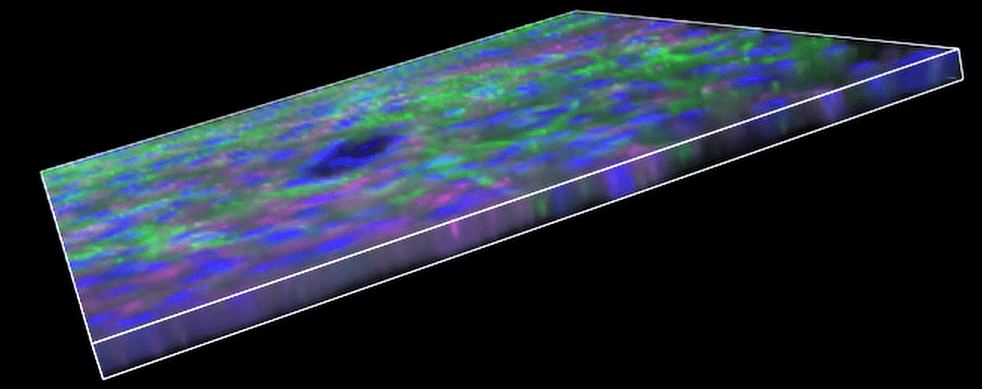 A close-up of a rectangular object Description automatically generated