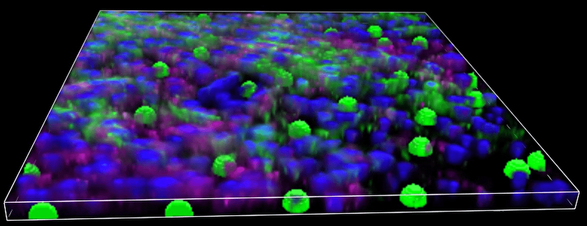 A close-up of colorful spheres Description automatically generated