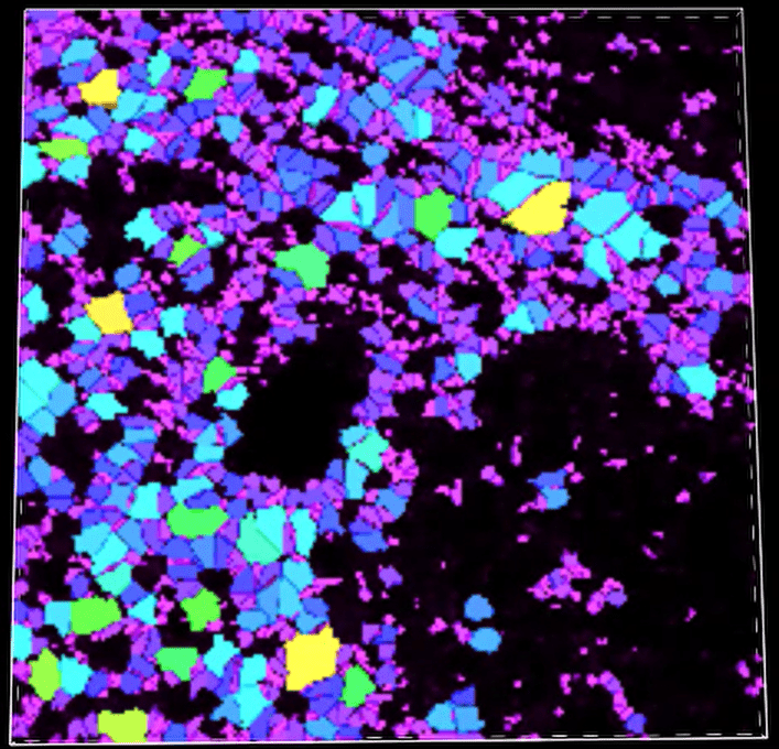 A colorful background with black border Description automatically generated with medium confidence