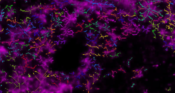 A colorful lines on a black background Description automatically generated