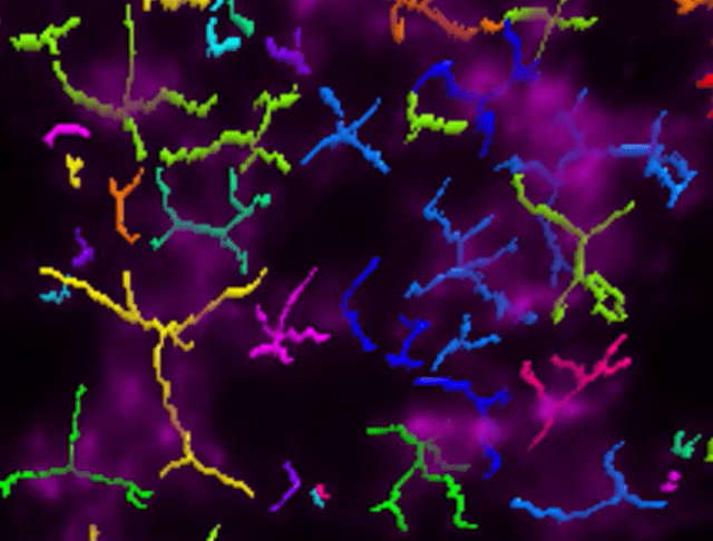 A colorful lines on a black background Description automatically generated