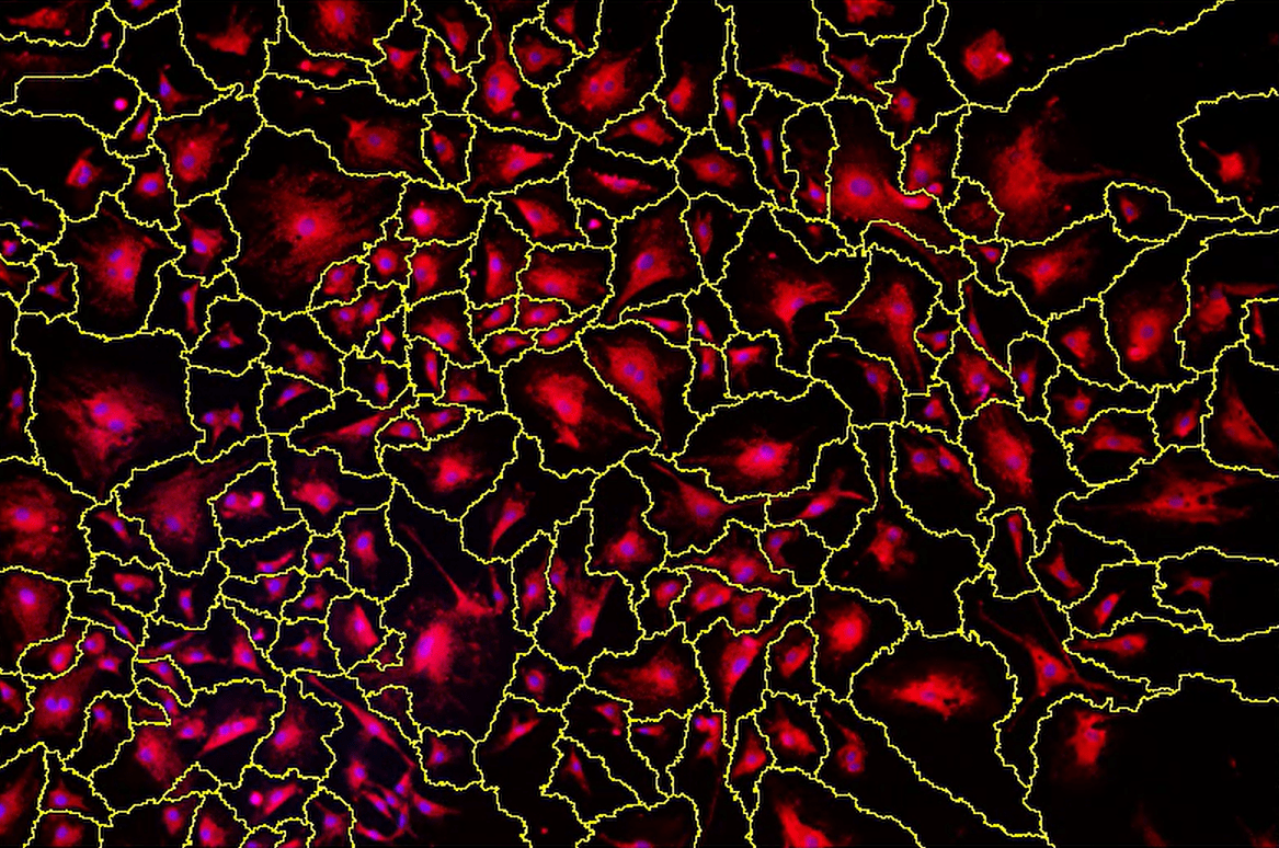 A colorful pattern with yellow lines Description automatically generated with medium confidence