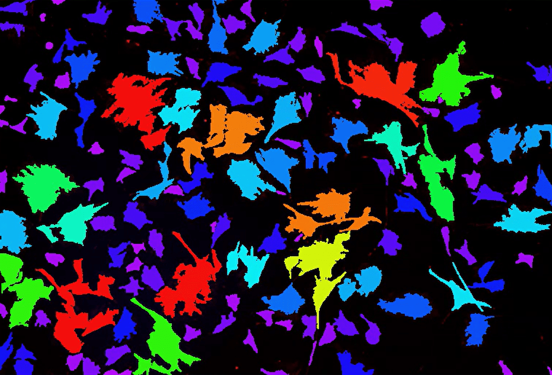 A colorful splattered background Description automatically generated with medium confidence