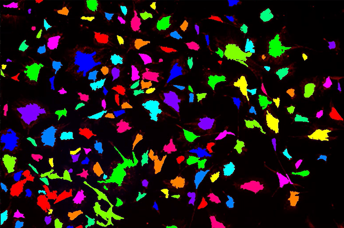 A colorful splattered background Description automatically generated with medium confidence