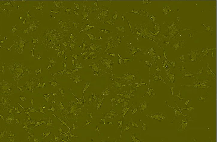A green background with small spots Description automatically generated