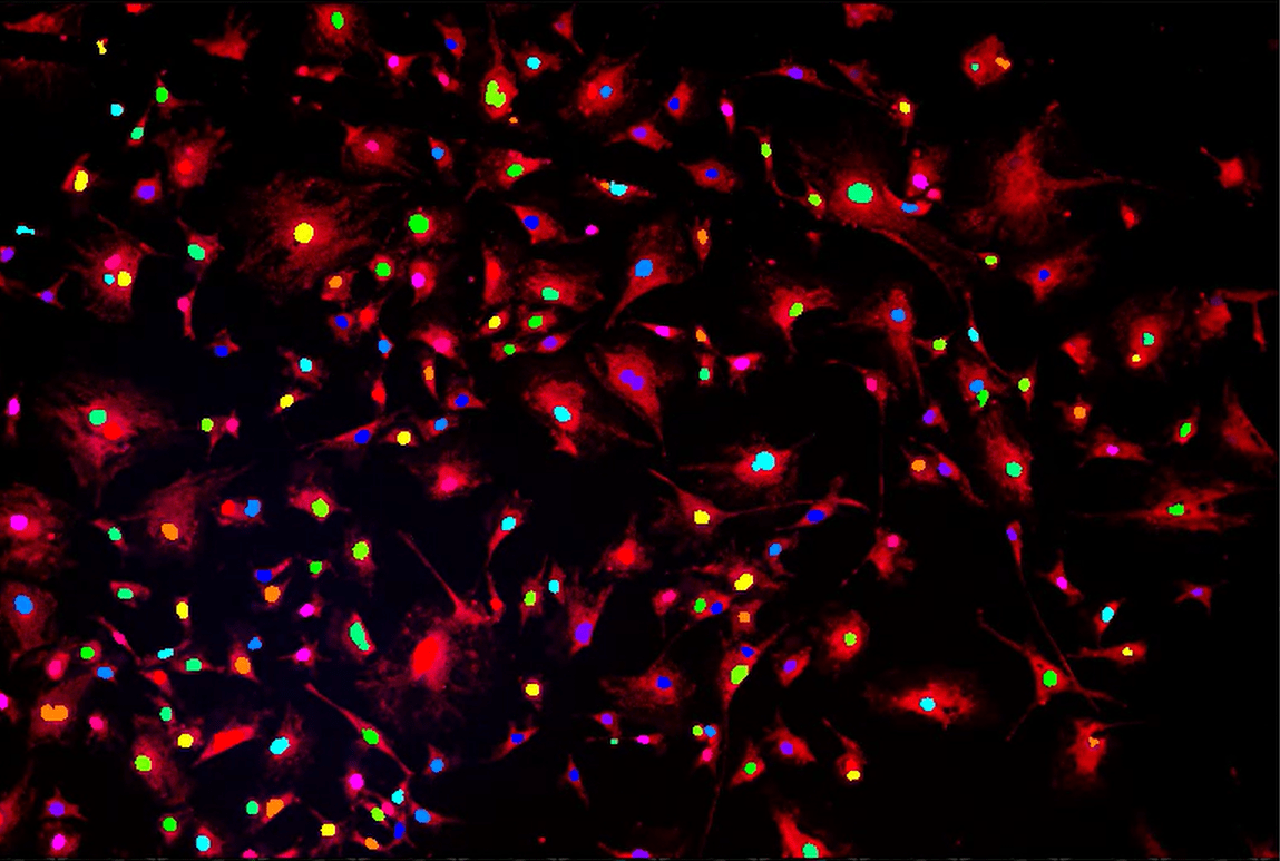 A group of glowing red and blue lights Description automatically generated