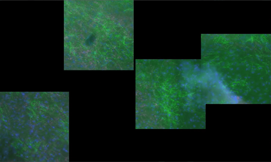A group of squares with green and blue streaks Description automatically generated