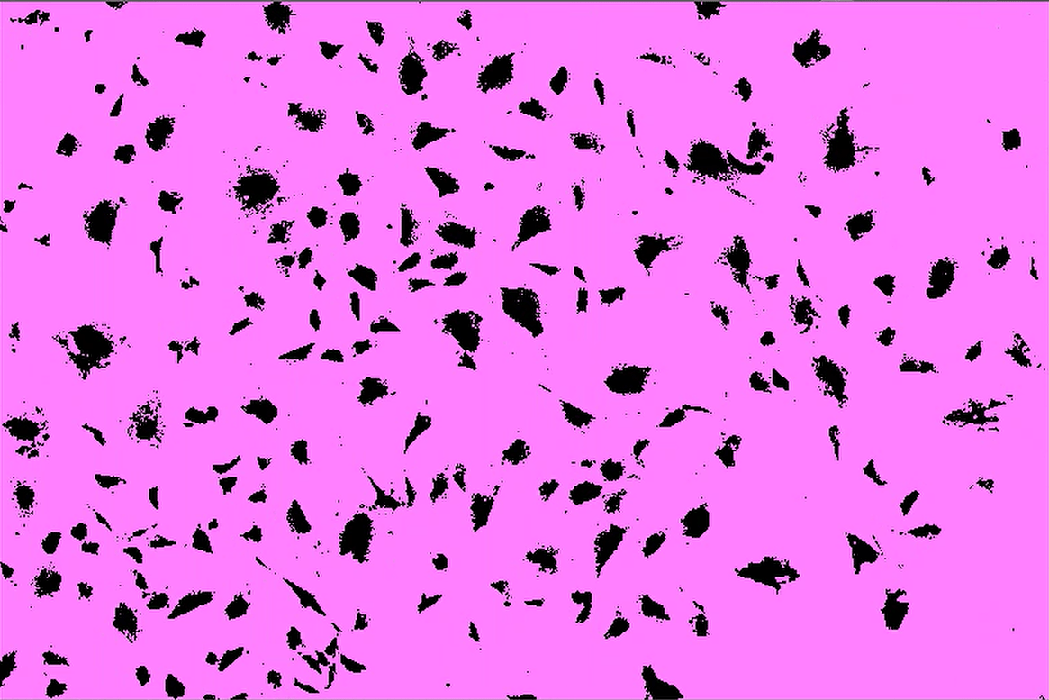 A pink background with black spotsDescription automatically generated