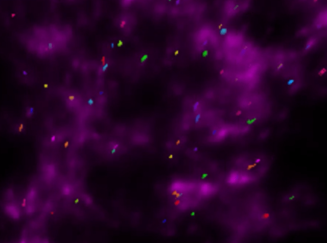 A purple and green background Description automatically generated with medium confidence