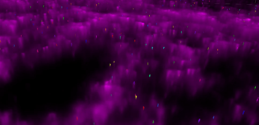 A purple and green lights Description automatically generated with medium confidence