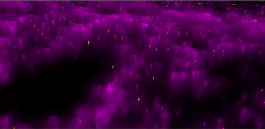 A purple and green lights Description automatically generated with medium confidence