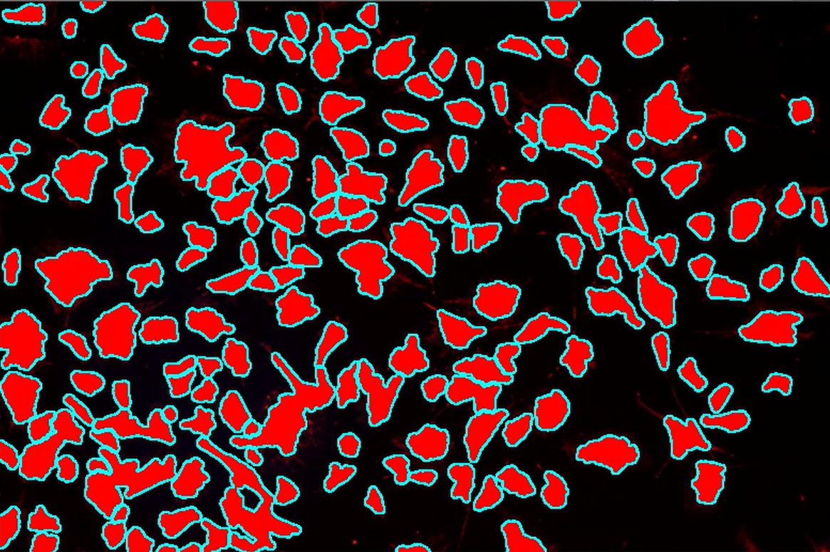 A red and blue spots on a black background Description automatically generated