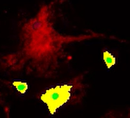 A red and yellow lightDescription automatically generated with medium confidence