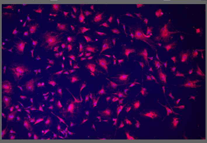 A screenshot of a computer screen Description automatically generated