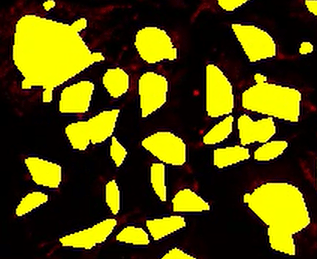 A yellow and black background Description automatically generated