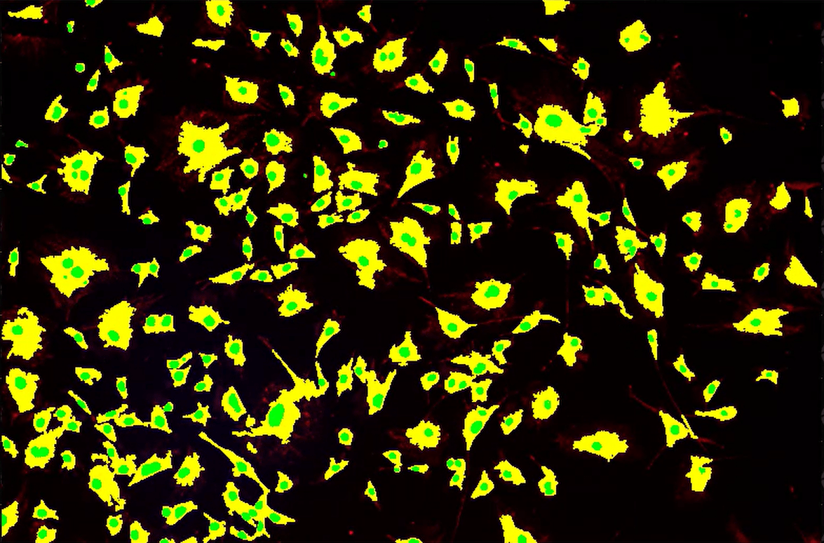 A yellow and black backgroundDescription automatically generated