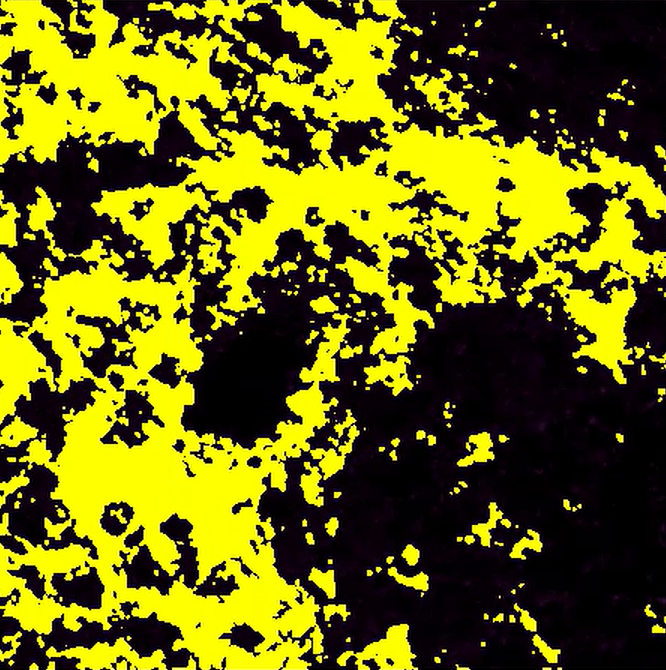 A yellow and black background Description automatically generated