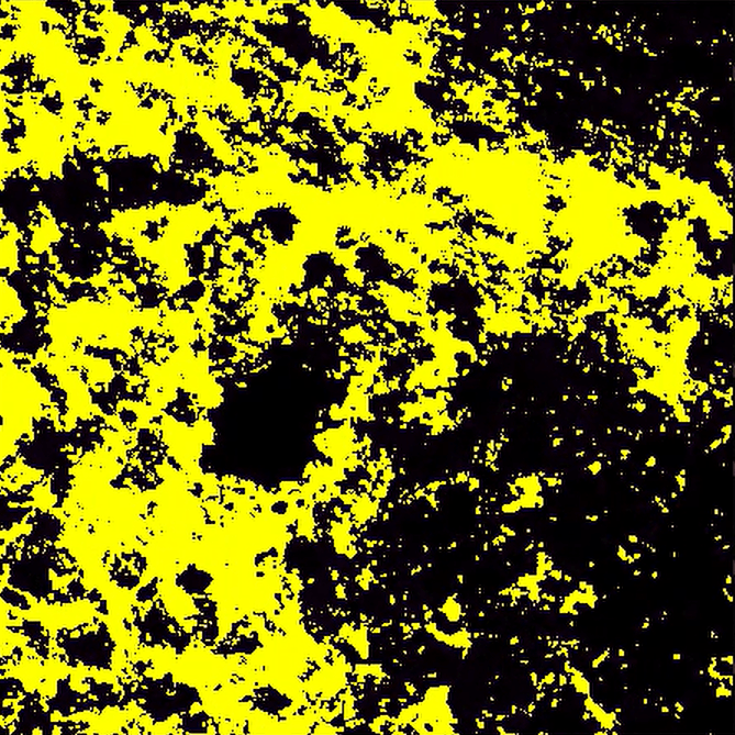 A yellow and black background Description automatically generated