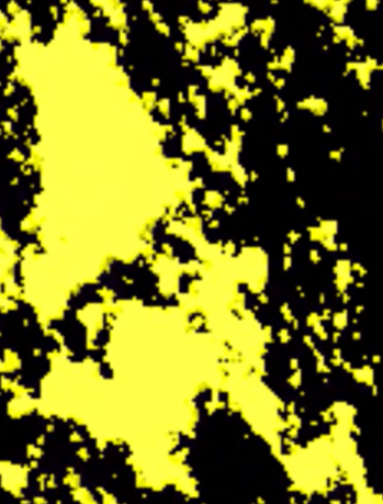 A yellow and black background Description automatically generated