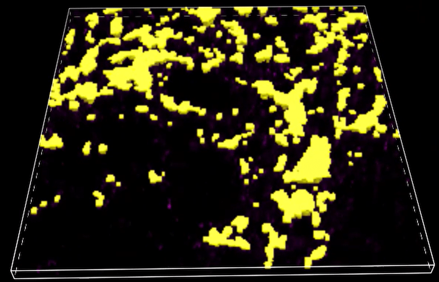 A yellow and black background Description automatically generated