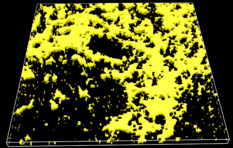 A yellow and black background Description automatically generated