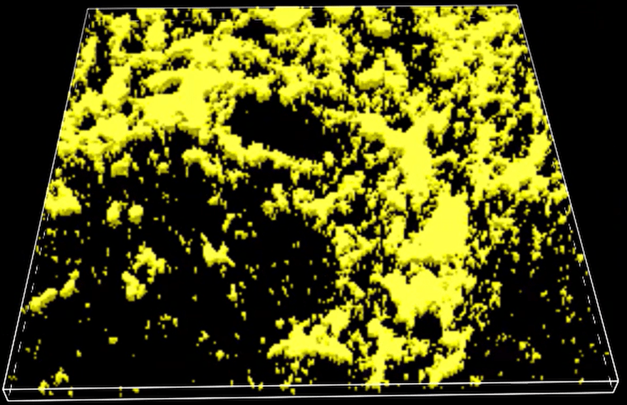 A yellow and black background Description automatically generated