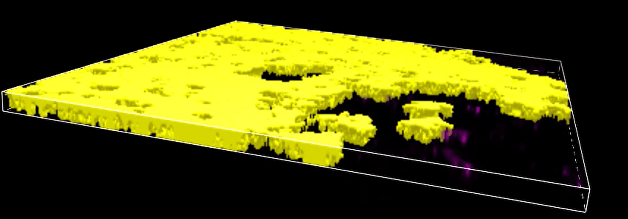 A yellow and black square with black background Description automatically generated with medium confidence