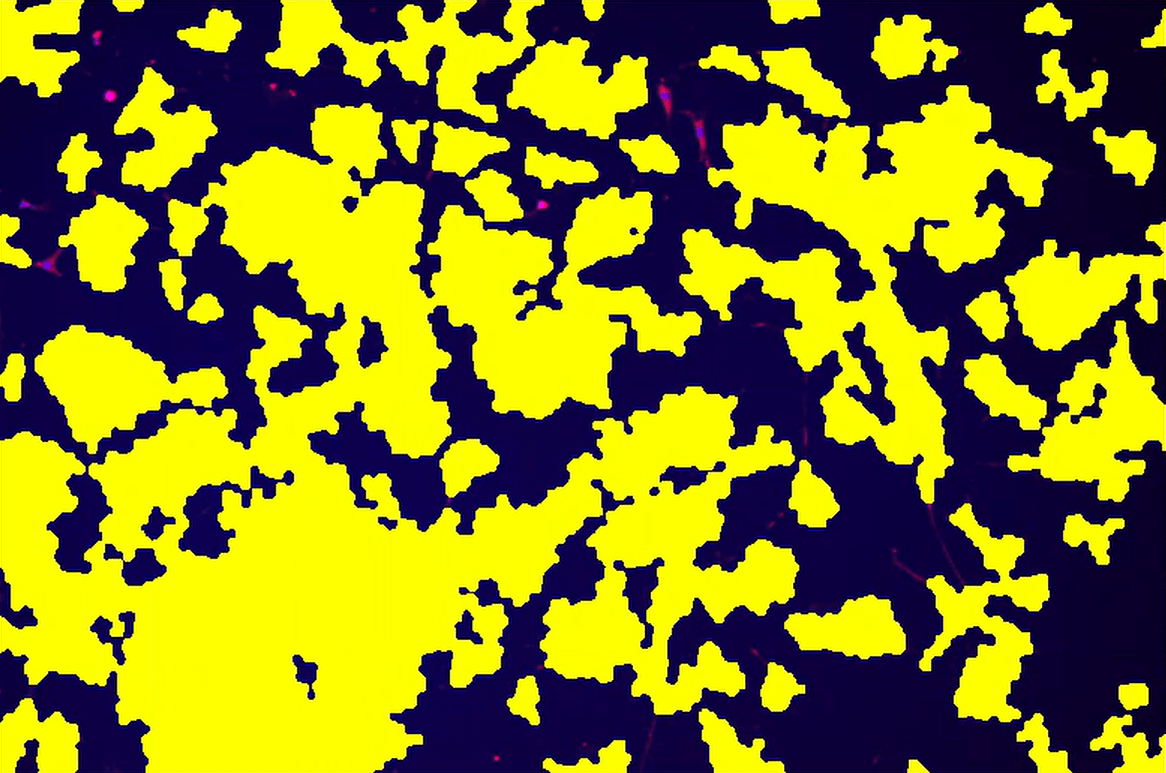 A yellow and blue backgroundDescription automatically generated