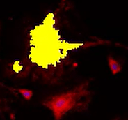 A yellow and red lightDescription automatically generated with medium confidence