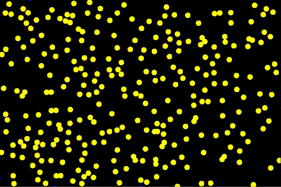 A yellow dots on a black backgroundDescription automatically generated