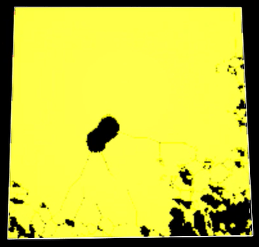 A yellow square with black spots Description automatically generated
