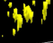 Yellow spots on a black background Description automatically generated